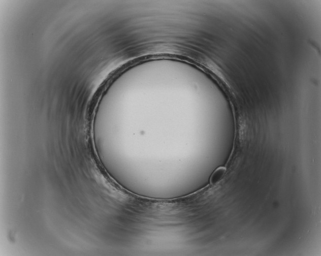 X0000103291116200809122001