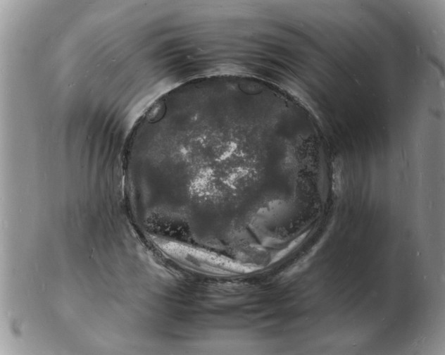 X0000103291117200809122001