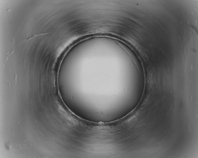 X0000103291118200809122001