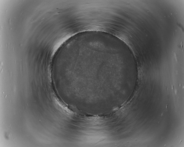 X0000103291120200809122001