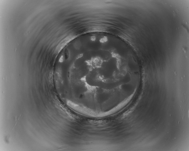 X0000103291121200809122001