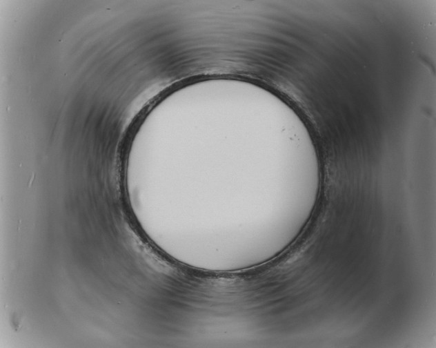 X0000103291122200809122001