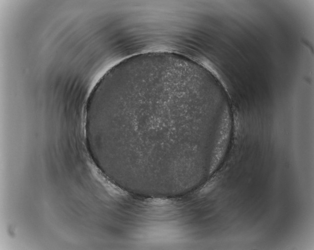 X0000103291124200809122001