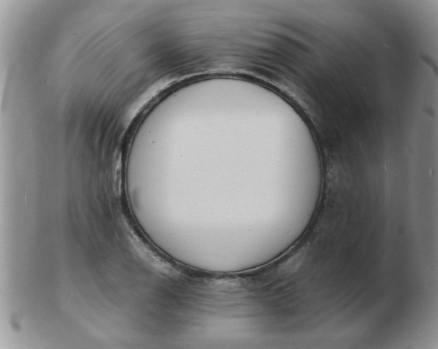 X0000103291126200809122001