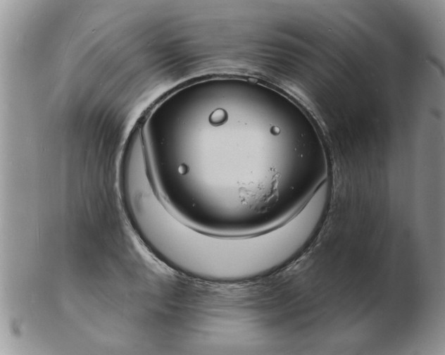 X0000103291128200809122001