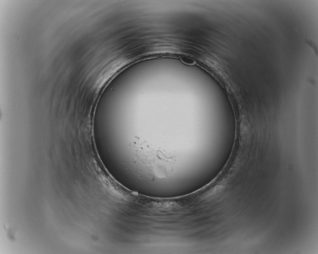 X0000103291129200809122001