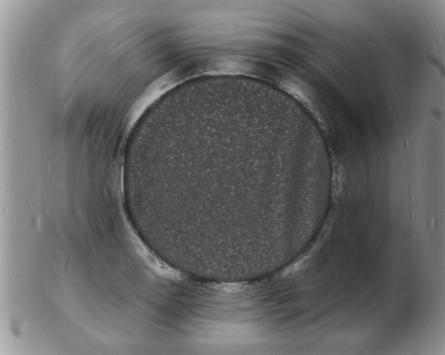 X0000103291130200809122001