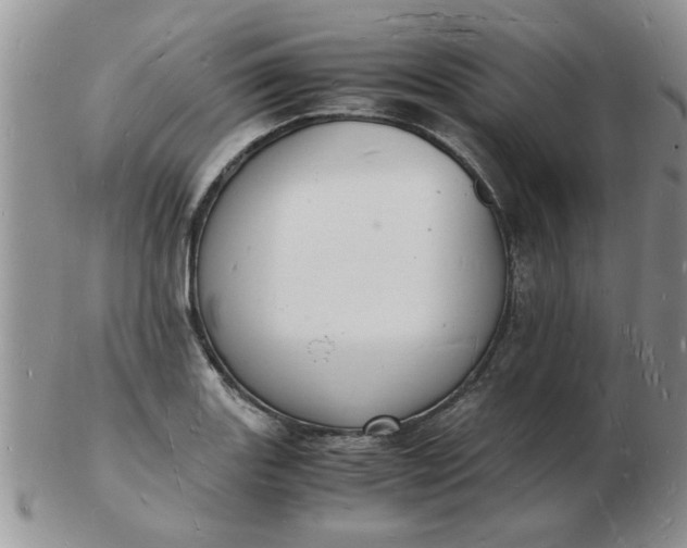 X0000103291131200809122001