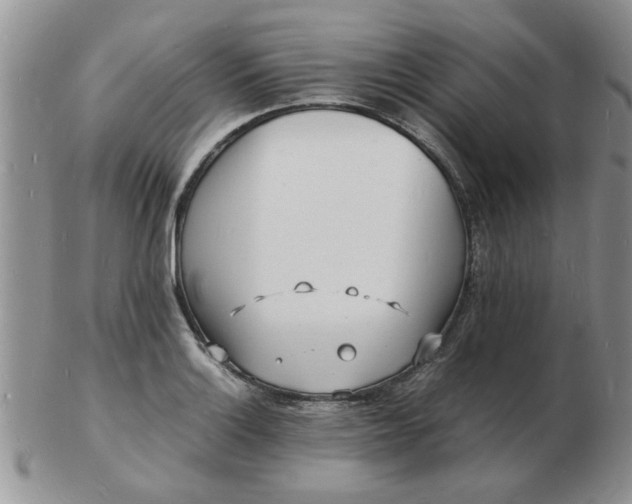 X0000103291132200809122001