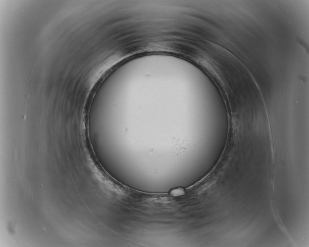 X0000103291133200809122001