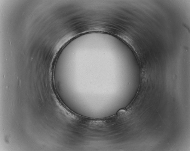 X0000103291135200809122001