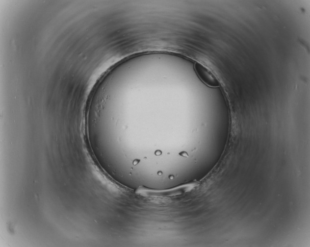 X0000103291136200809122001