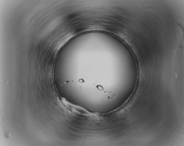 X0000103291137200809122001