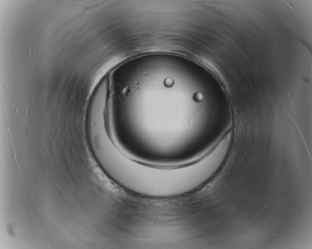 X0000103291138200809122001