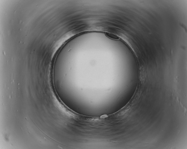 X0000103291139200809122001