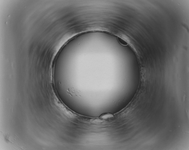 X0000103291140200809122002