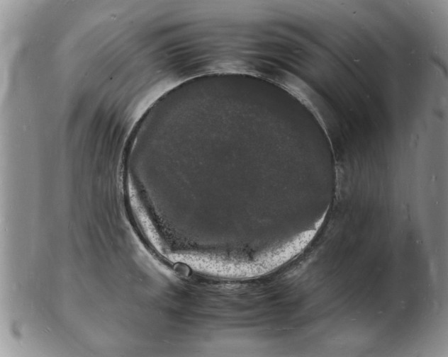 X0000103291141200809122002