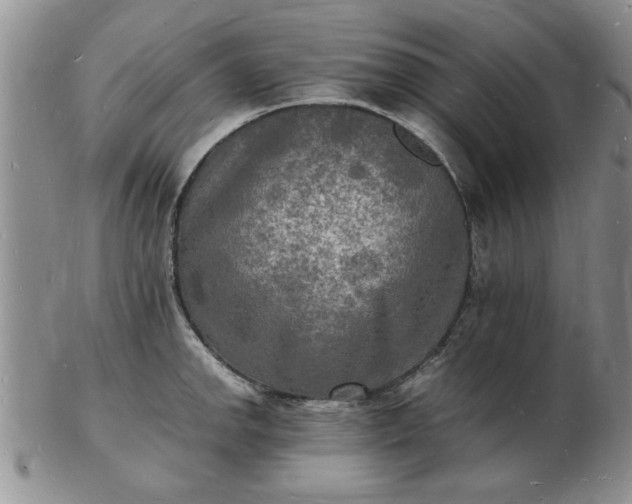 X0000103291142200809122002