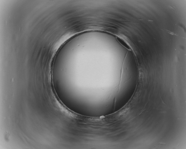 X0000103291143200809122002