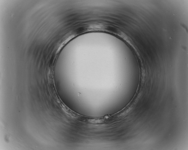 X0000103291145200809122002