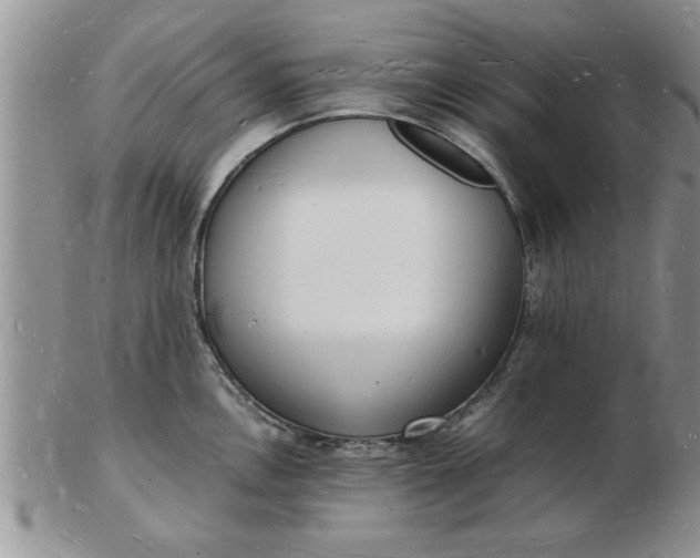 X0000103291146200809122002