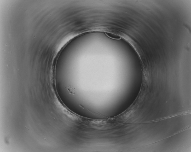 X0000103291147200809122002