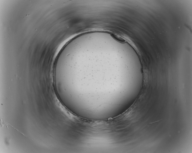 X0000103291148200809122002