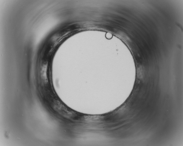 X0000103291150200809122002