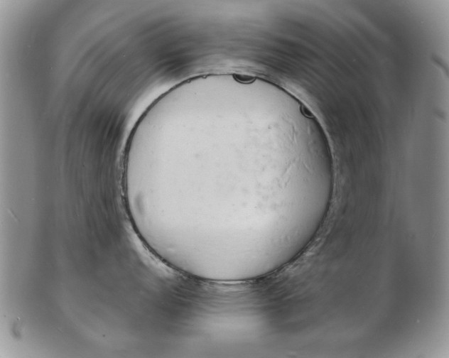 X0000103291152200809122002