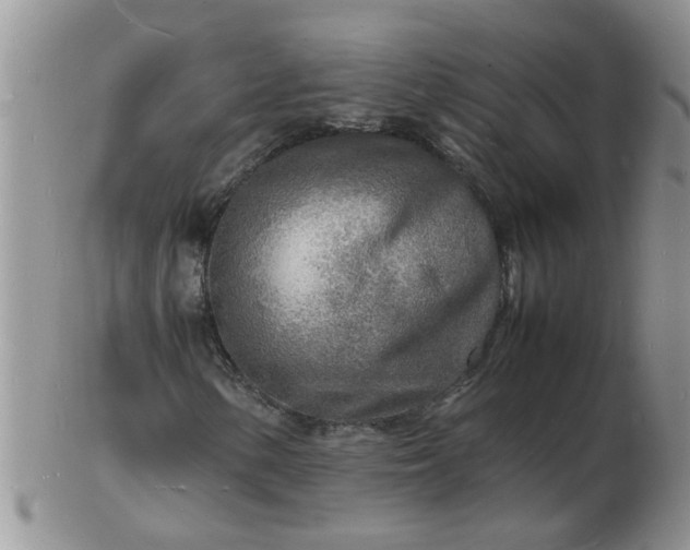 X0000103291154200809122001