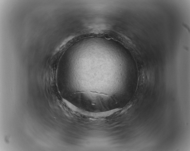 X0000103291158200809122001