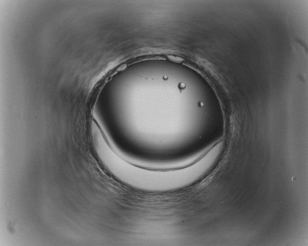 X0000103291165200809122001