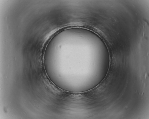 X0000103291168200809122001