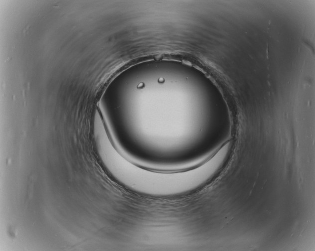 X0000103291169200809122001