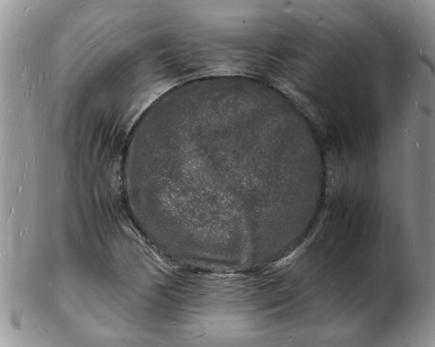 X0000103291170200809122001