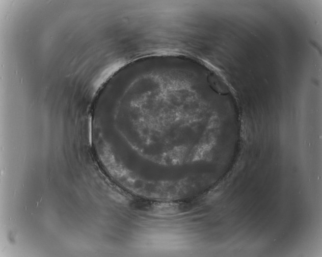 X0000103291171200809122001