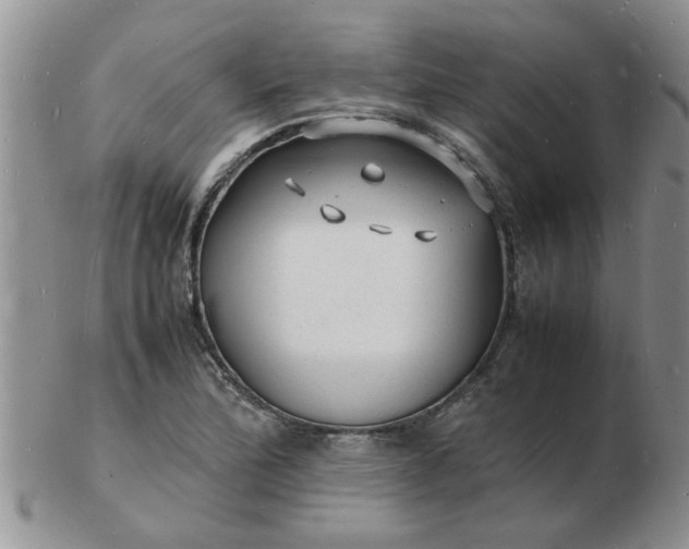 X0000103291172200809122001