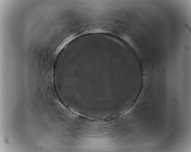 X0000103291173200809122001