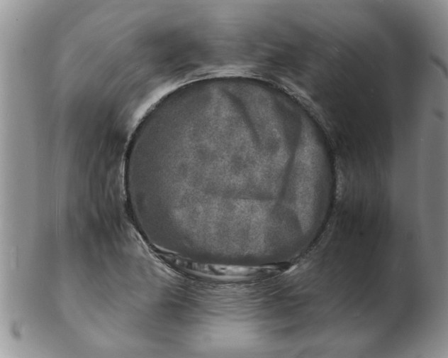 X0000103291174200809122001