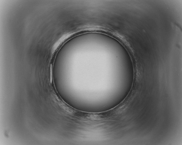 X0000103291175200809122001