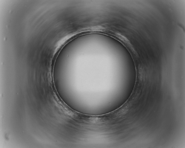 X0000103291176200809122001