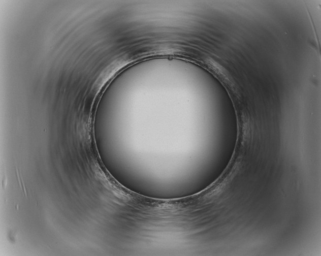 X0000103291178200809122001