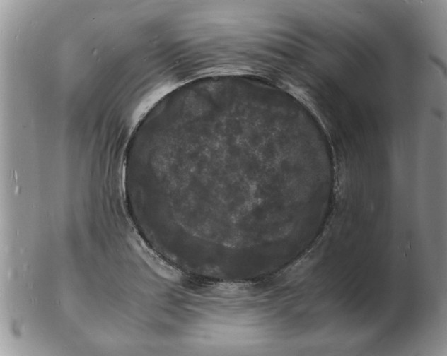 X0000103291179200809122001