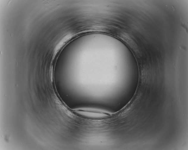 X0000103291180200809122001