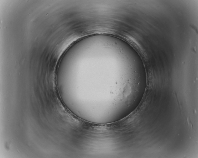 X0000103291182200809122001