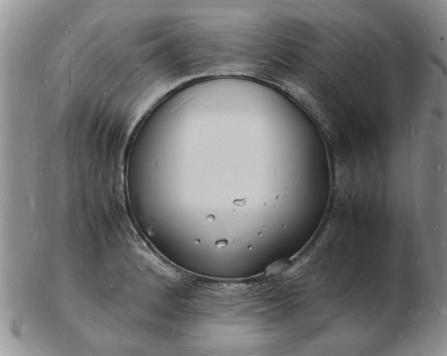 X0000103291184200809122000