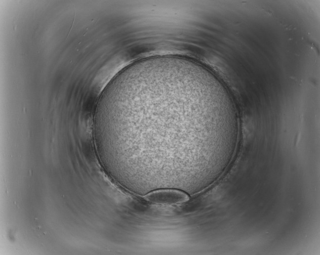 X0000103291185200809122000