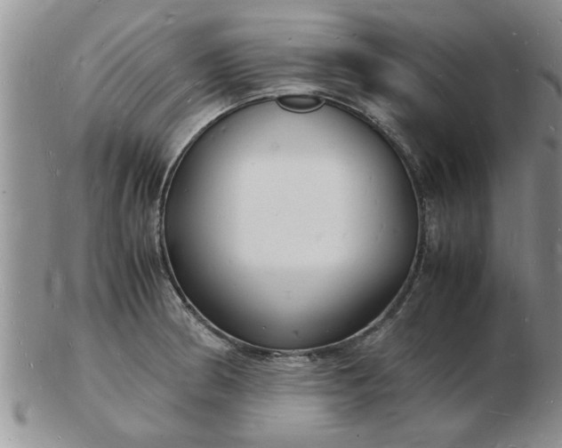 X0000103291186200809122000