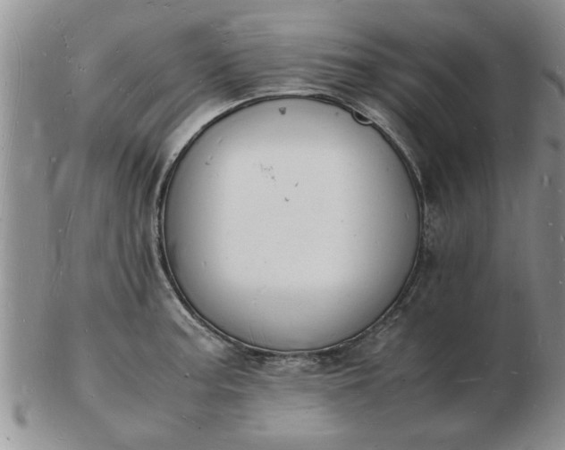 X0000103291187200809122000