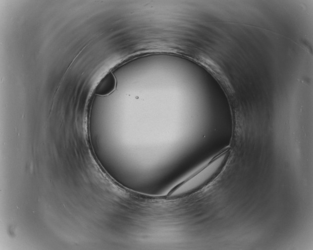 X0000103291188200809122000